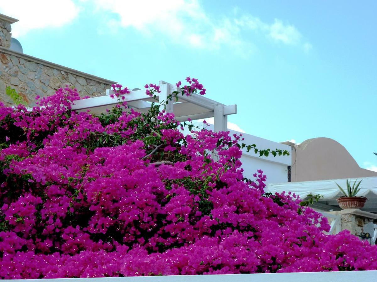 Kamári Bougainvillea Suites מראה חיצוני תמונה