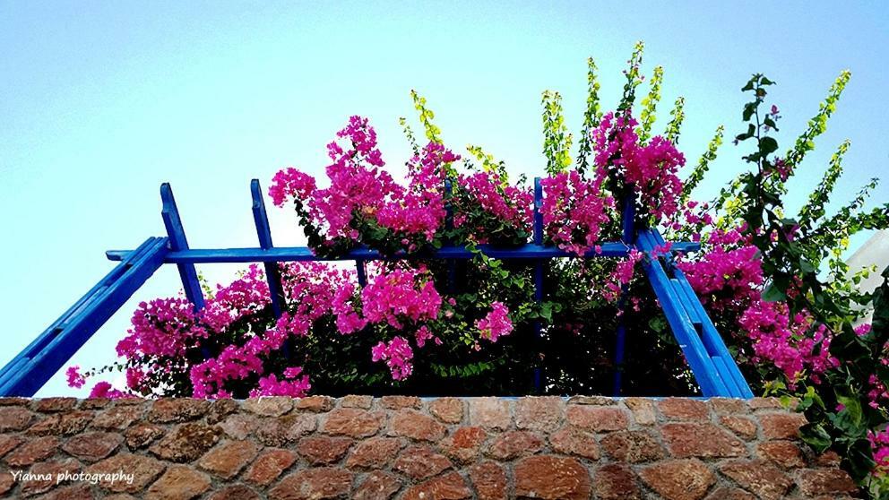 Kamári Bougainvillea Suites מראה חיצוני תמונה