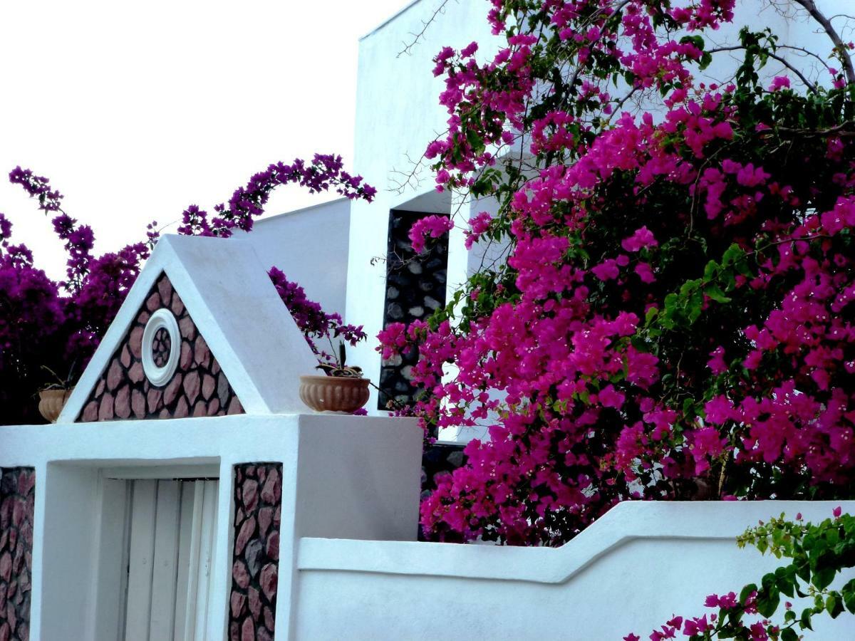 Kamári Bougainvillea Suites מראה חיצוני תמונה