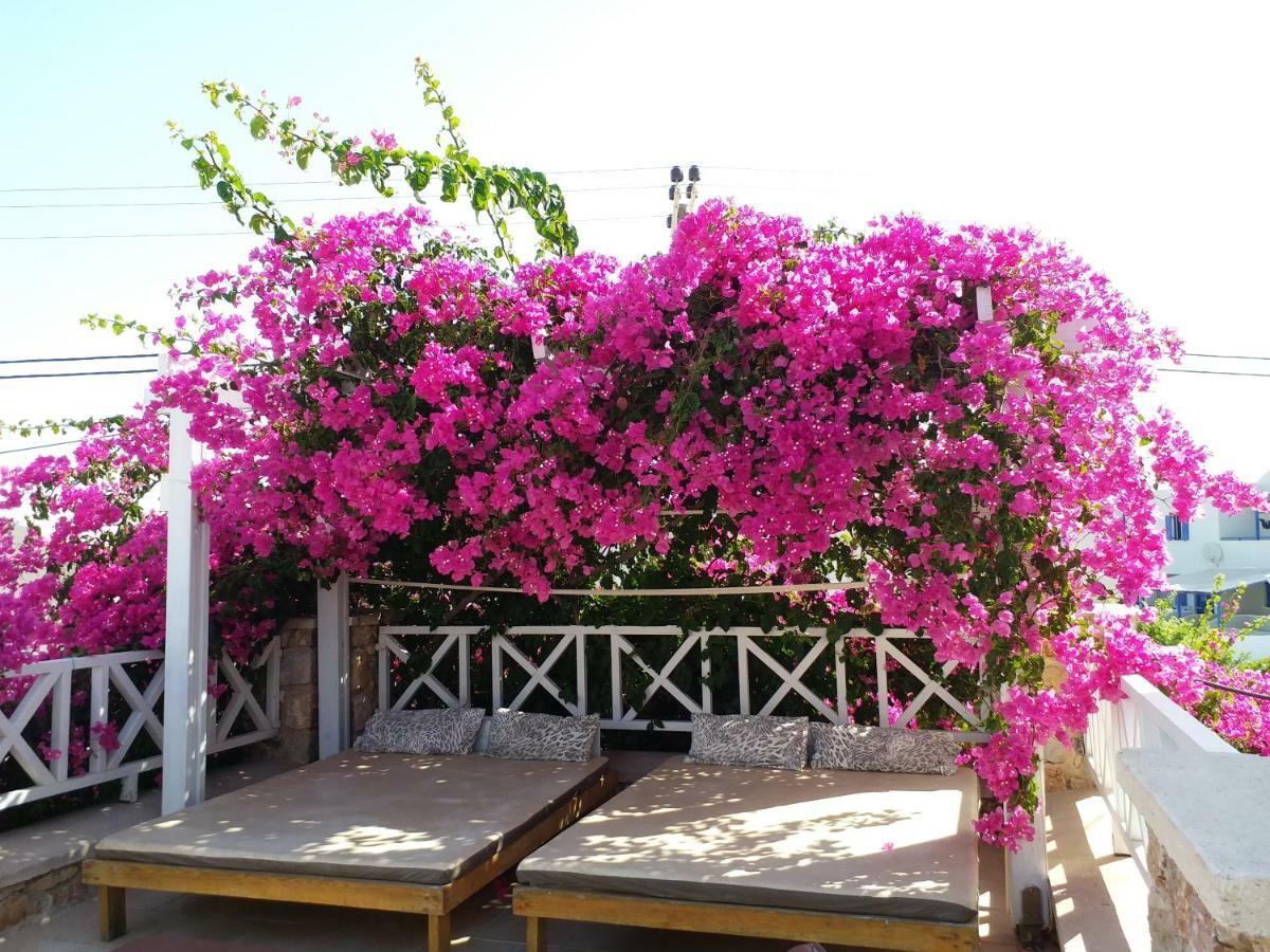 Kamári Bougainvillea Suites מראה חיצוני תמונה